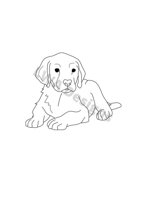 Labrador Line Drawing - SVG / PDF / PNG - Original, Hand-drawn | Dog drawing simple, Dog mom ...