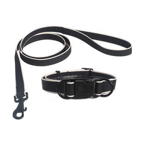 collar leash set