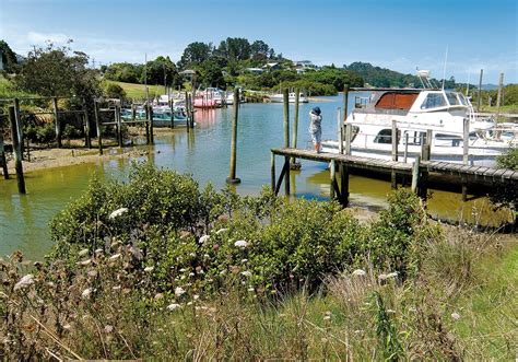 Heart of the Kaipara: Maungaturoto and Beyond - Motorhomes, Caravans & Destinations NZ