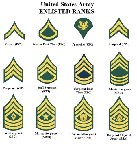 US Army Ranks - Military Center