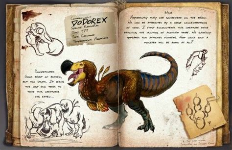 Dodorex dossier | Ilustração de dinossauro, Dinossauro desenho, Livro ...