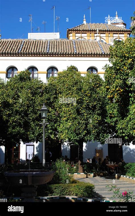 Seville orange trees in the Plaza Dona Elvira with tourists relaxing at ...