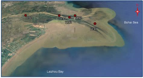 Geographical location of the Yellow River Delta wetland and ...