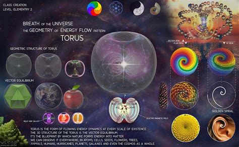 Torus: the most foundational energy flow patterning in the universe ...