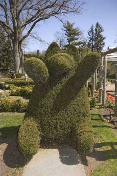 Hedge art collection 2 | Hedges, Topiary garden, Chinese plants