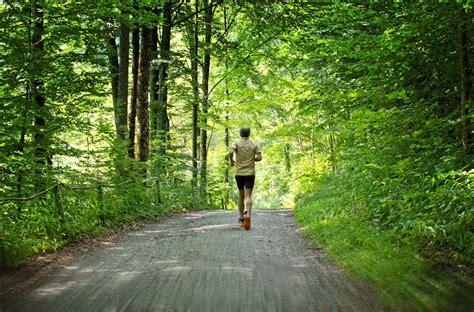 Jogger Man Running In the Forest - High Quality Free Stock Images