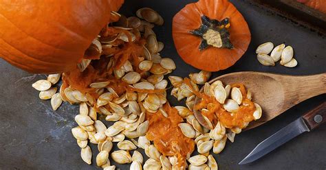 How to Save Pumpkin Seeds to Plant Next Year | Gardener’s Path