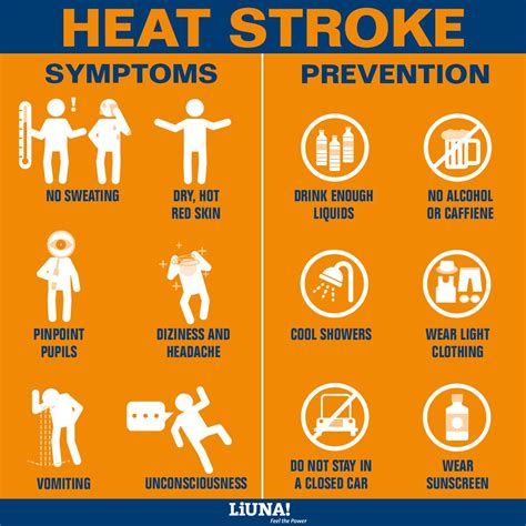 HEAT SAFETY TIPS – LOCAL 1001 NEWS