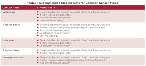 Staging Cancer: Digging Deeper Than the Diagnosis | Today's Veterinary Nurse