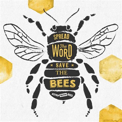 STRIP Unveils Queen Bee Wax In Conjunction With 'STRIP Saves Bees' Campaign | Lipstiq.com