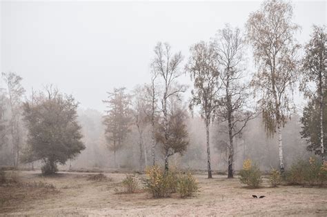 Marielle de Valk – Natuur fotograaf