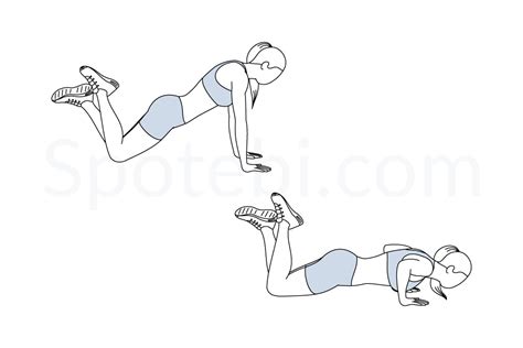 Knee Push Up | Illustrated Exercise Guide