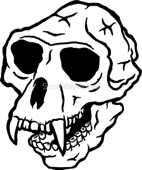 Monkey Skull Drawing at GetDrawings | Free download