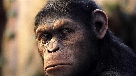 Matt Reeves Talks Dawn Of The Planet Of The Apes | Movies | %%channel ...