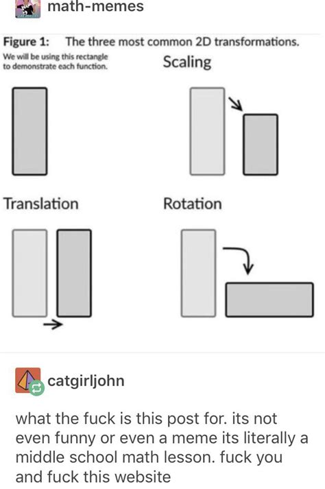 Loss Meme Explained