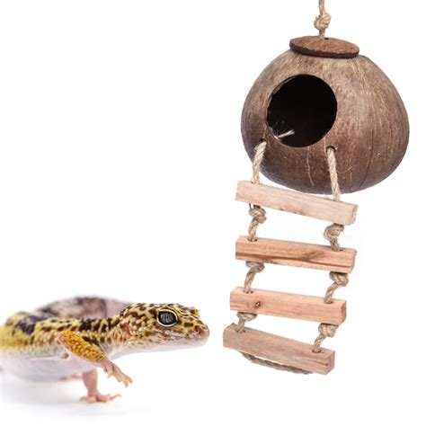 Buy Gecko Coconut Husk Hut, Bird Hut Nesting House Hideouts with Ladder, Coco Texture Provide ...