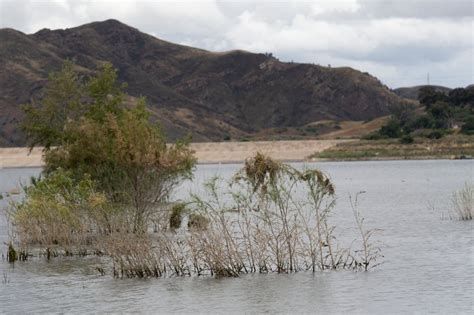 Irvine Lake reopens for shoreline fishing Aug. 17 – Orange County Register