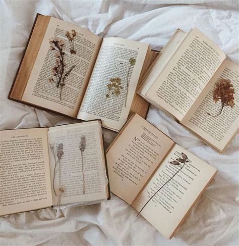 follow me @PEACHESSBABY | Book photography, Vintage books, Books