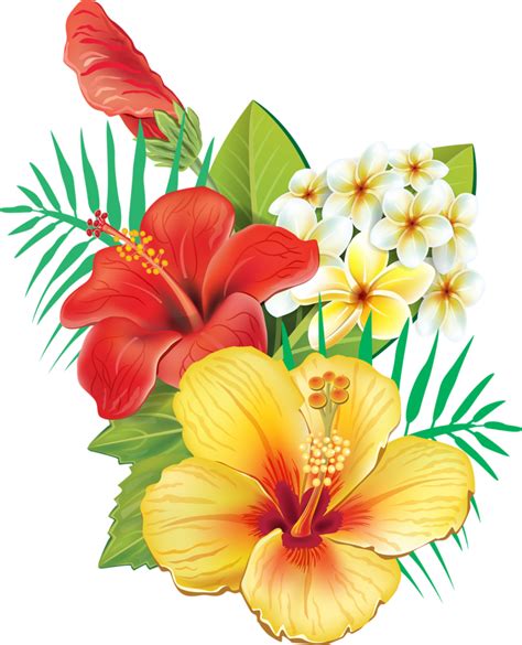 Tropical - Hibiscus Flowers Clipart - Full Size Clipart (#713084 ...