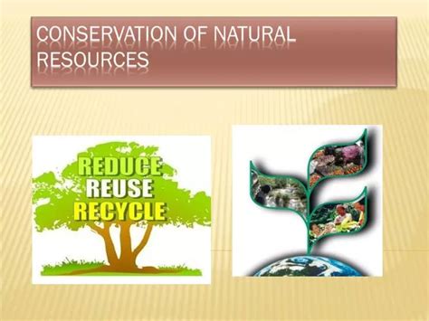 PPT - Conservation of natural resources PowerPoint Presentation, free download - ID:2558556