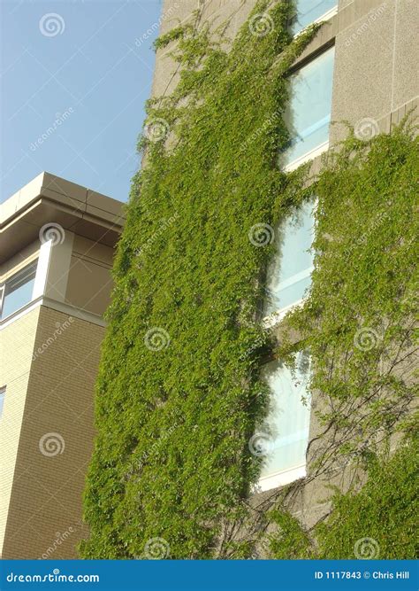 Ivy League Campus stock image. Image of buildings, intellectual - 1117843