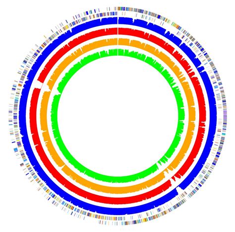 GenomeViz: visualizing microbial genomes | BMC Bioinformatics | Full Text