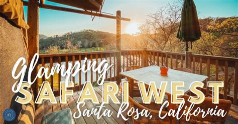 What It's Really Like to Stay at Safari West in Santa Rosa