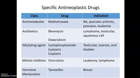 Chapter 14 Antineoplastic Drugs - YouTube