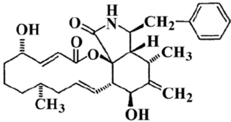 Chemical structure of cytochalasin B. | Download Scientific Diagram