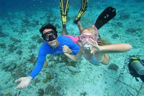 Curacao Snorkeling Guide | Caribbean Adventures with Ocean Encounters