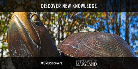 University of Maryland - The Graduate School Employees, Location ...