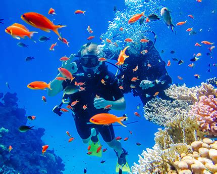 Snorkeling in the Riviera Maya: an underwater paradise