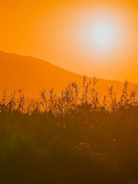 Sunrise over mountain hill stock image. Image of dask - 135466023