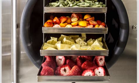 How does Freeze Drying Work? - Top Food Storage Reviews