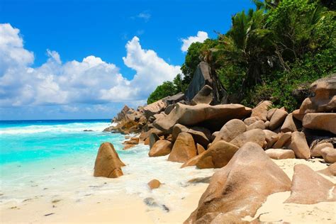 7 Awesome Things To Do in Seychelles Seychelles Hotels, Seychelles Islands, Best Honeymoon ...