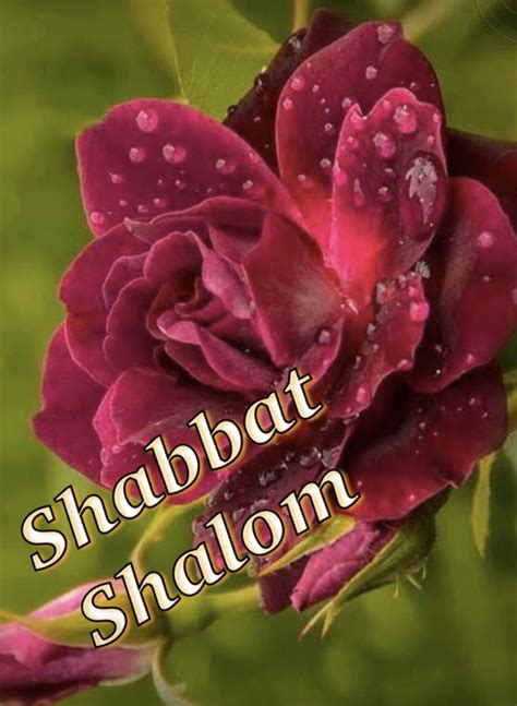 Pin by dianne stewart on Shabbat shalom images | Shabbat shalom images ...