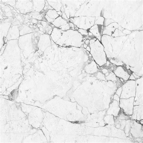 White Marble Flooring Texture – Flooring Tips