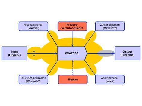 Turtle Diagram Iso 9001