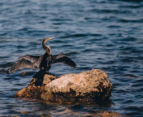 3 Ways to Visit Biscayne National Park – NATIONAL PARK QUEST