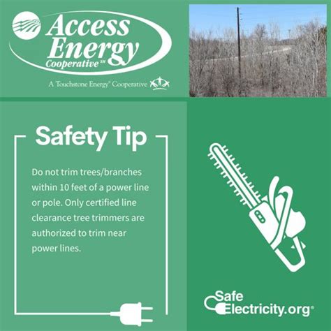 Tree Trimming Safety | Access Energy Cooperative