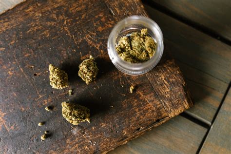 What is Cannabis Ruderalis? - Effects and Potential Benefits