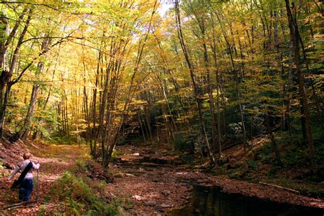 Young Hiker Fall Trail Creek | Forest Foliage Autumn Fall Nature Pictures