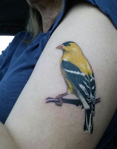 American Goldfinch tattoo by Becky Ashcraft. Finch Tattoo, K Tattoo ...