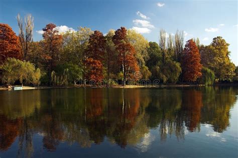 Autumn Forest Lake Reflection Stock Image - Image of outside, blue: 9408133