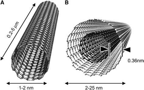 Carbon nanotubes – NanoNews