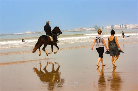 Things to Do in Essaouira, where Morocco Beaches Meet Culture