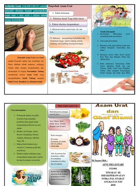 Leaflet Asam Urat | PDF