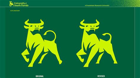 USF Logo Debacle Takeaways | Branding Gone Wrong | Diace Designs