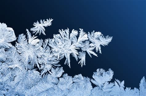Frost Patterns On Windows Free Stock Photo - Public Domain Pictures