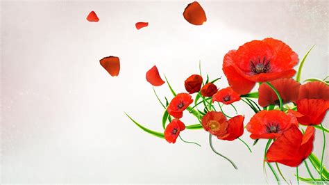 Poppies Wallpapers - Top Free Poppies Backgrounds - WallpaperAccess